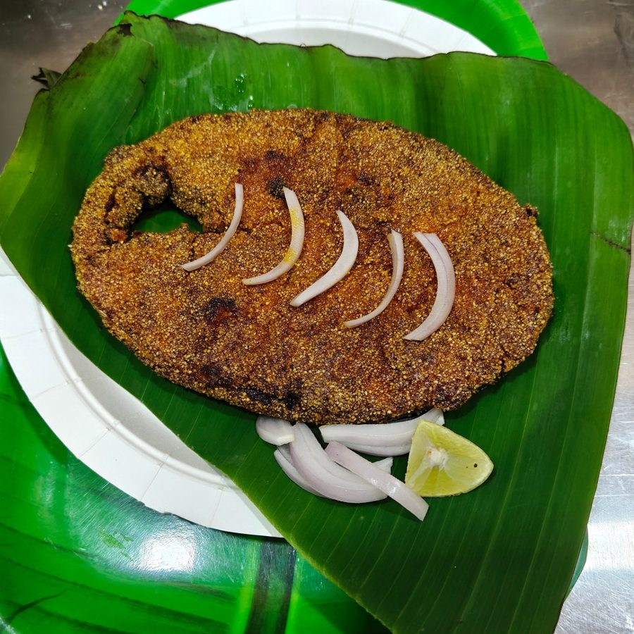 Surmai fry